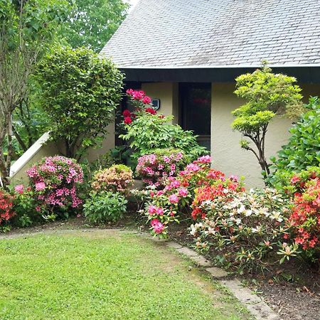 Jardin Des Chats Sevignacq-Meyracq Ngoại thất bức ảnh