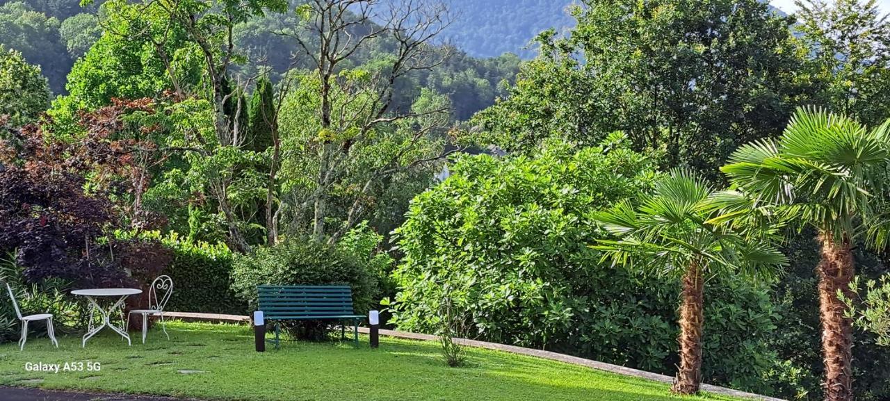 Jardin Des Chats Sevignacq-Meyracq Ngoại thất bức ảnh