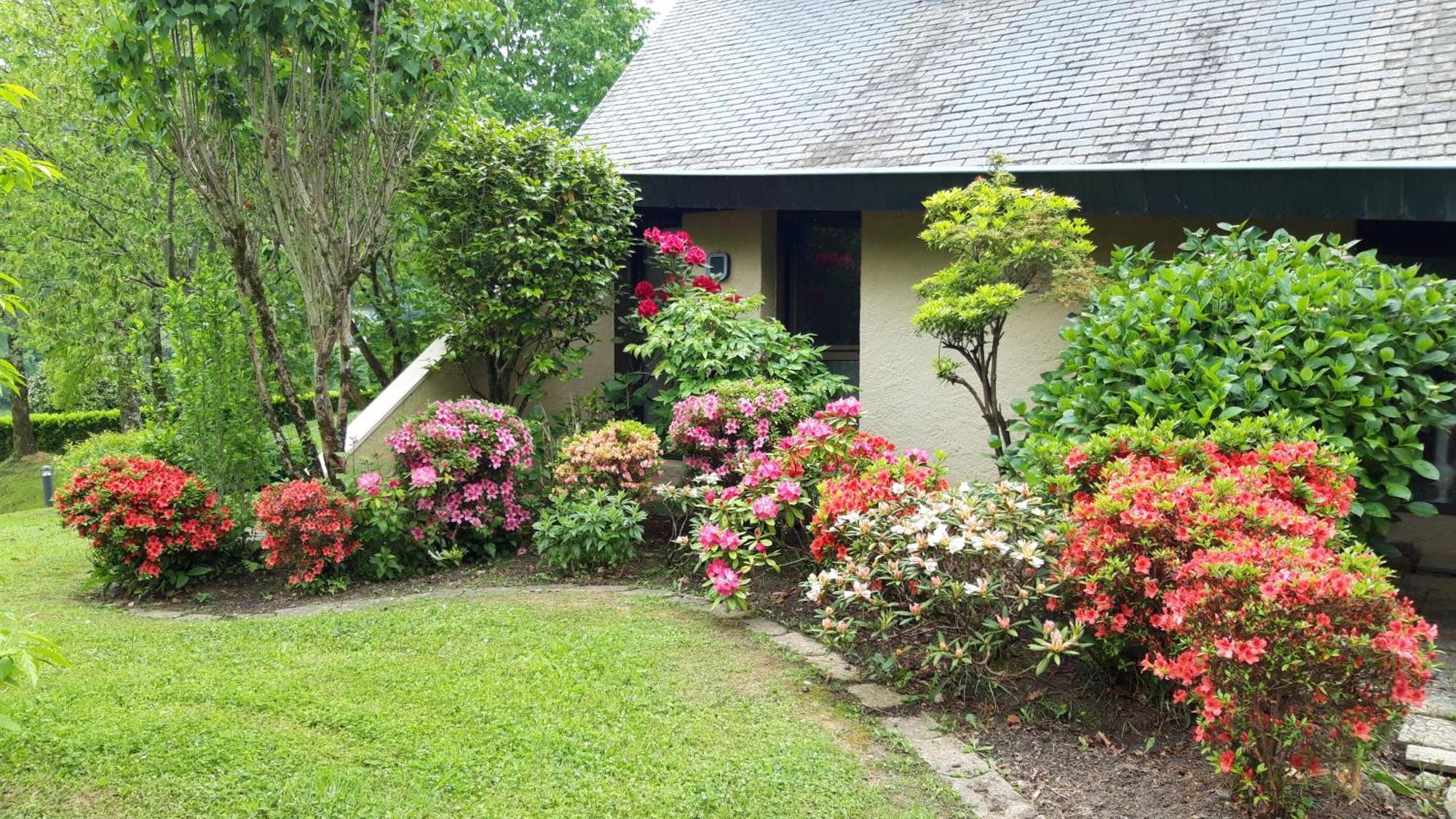 Jardin Des Chats Sevignacq-Meyracq Ngoại thất bức ảnh